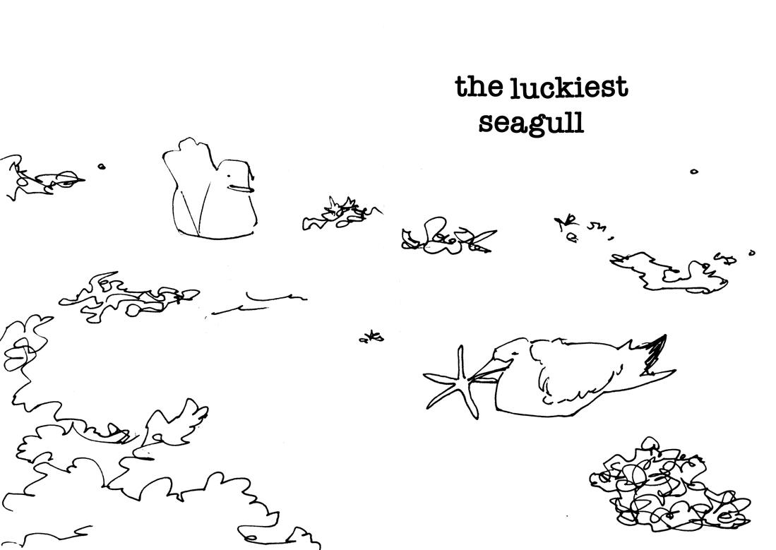The Luckiest Seagull The Luckiest Seagull